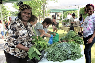 Malvern Urban Farm market